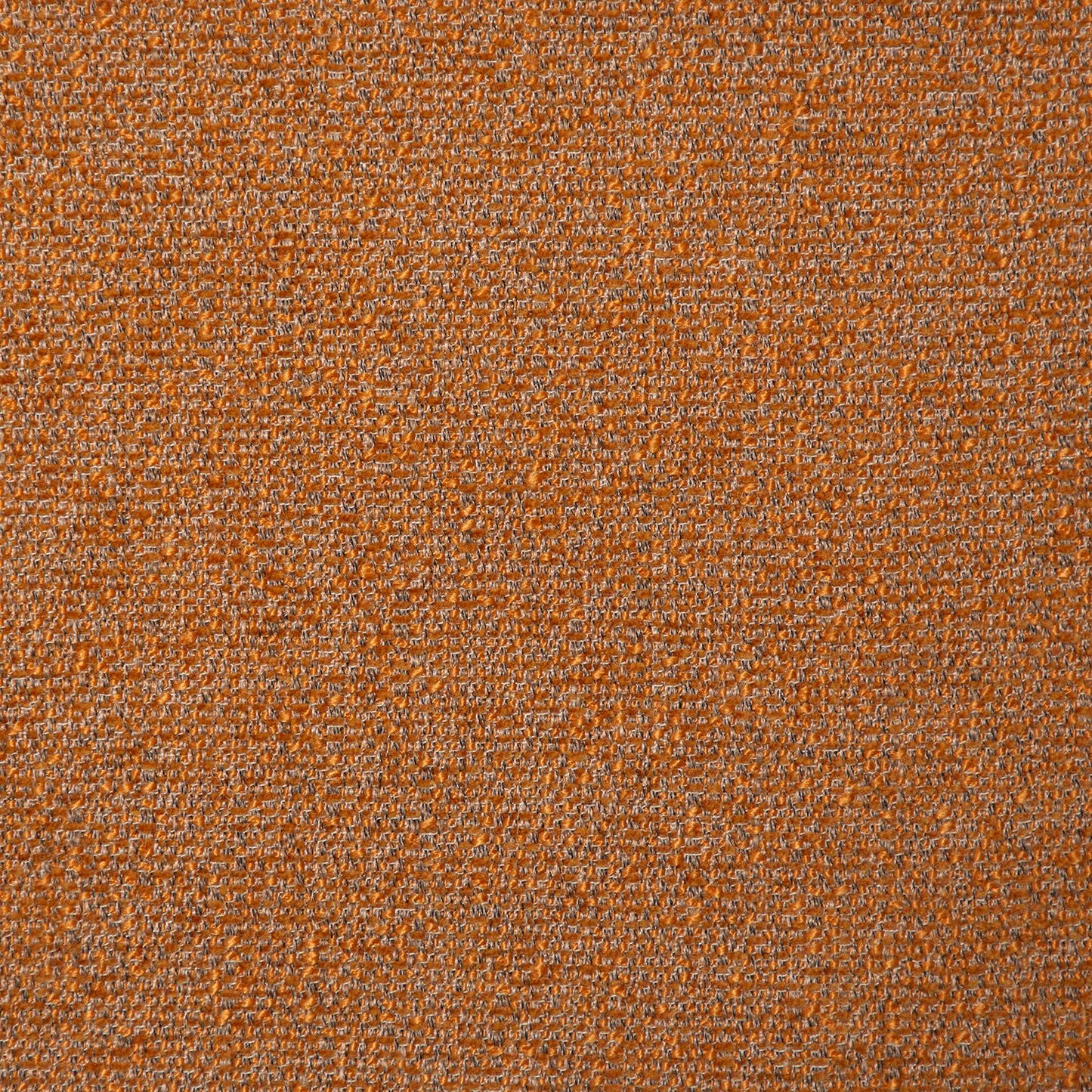 [var:Bezug=Kürbisgewürz Bouclé-Gewebe] SPLENDOR Sessel