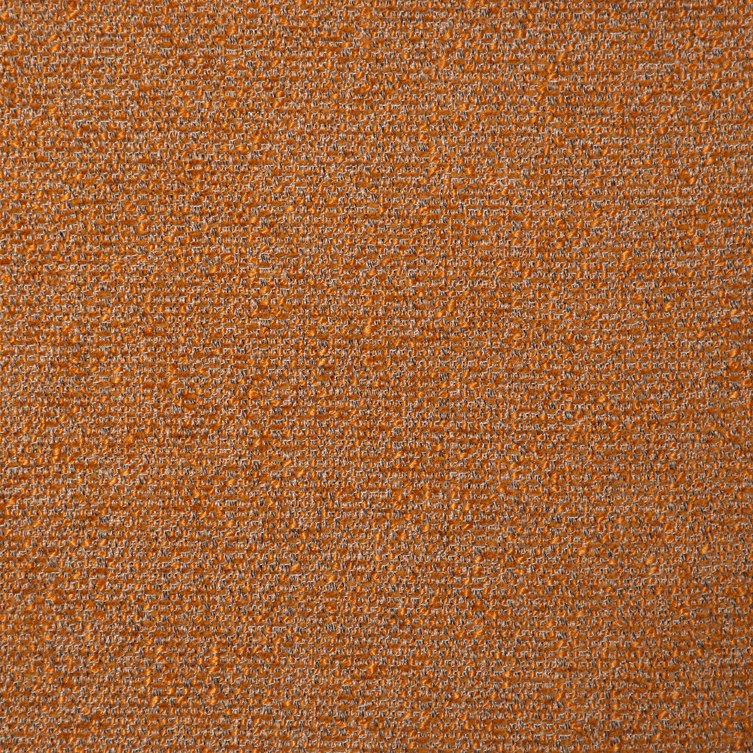 [var:Bezug=Kürbisgewürz Bouclé-Gewebe] SPLENDOR Sessel